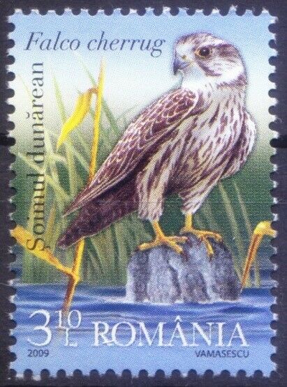 Romania 2009 Mnh, Birds Of Prey, Saker Falcon